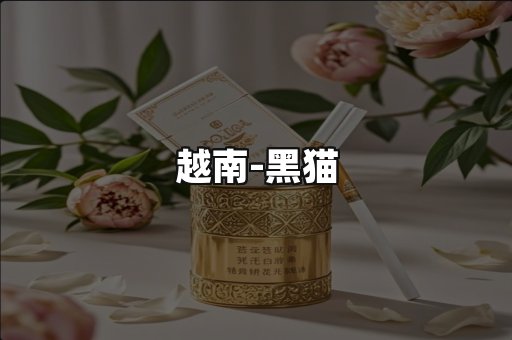 越南黑猫